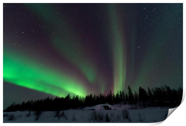 Aurora Borealis, Northern Lights, at Yellowknife, Northwest Territories, Canada Print by Chun Ju Wu