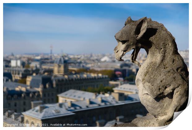 The Gargoyles of Notre Dame Cathedral overlooking Paris, France Print by Chun Ju Wu