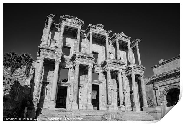 Library of Celsus in Ephesus (black & white) Print by Chun Ju Wu