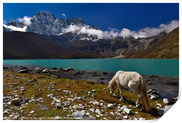 A white horse by Gokyo lake surrounded by snow mountains of Himalayas in Nepal Print by Chun Ju Wu