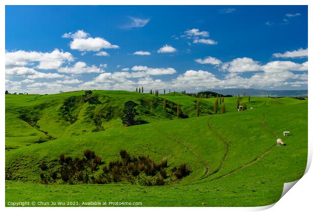 Green hills with sheep and blue sky in New Zealand Print by Chun Ju Wu