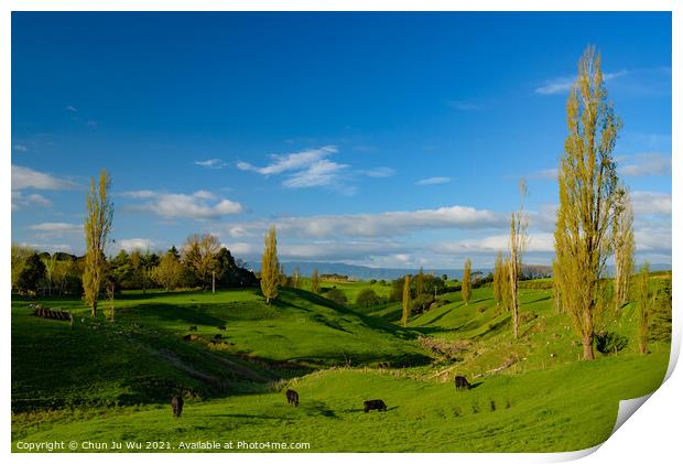 Green hills with cattle and blue sky in New Zealand Print by Chun Ju Wu