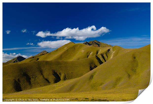 Green hill with blue sky, landscape of South Island, New Zealand Print by Chun Ju Wu