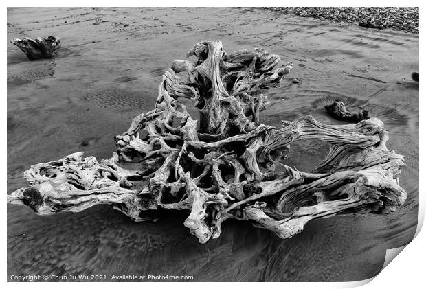 A piece of driftwood on beach (black and white) Print by Chun Ju Wu