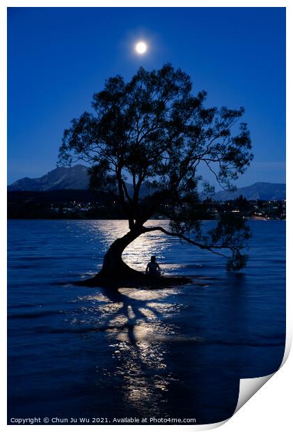 Night view of Wanaka tree and Lake Wanaka in moonlight, New Zealand Print by Chun Ju Wu