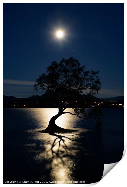 Night view of Wanaka tree and Lake Wanaka in moonlight, New Zealand Print by Chun Ju Wu