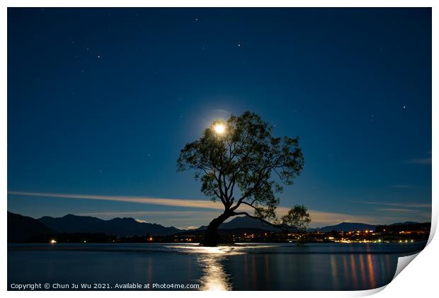 Night view of Wanaka tree and Lake Wanaka in moonlight, New Zealand Print by Chun Ju Wu