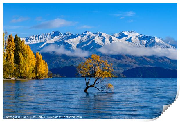Wanaka tree and Lake Wanaka in autumn, New Zealand Print by Chun Ju Wu