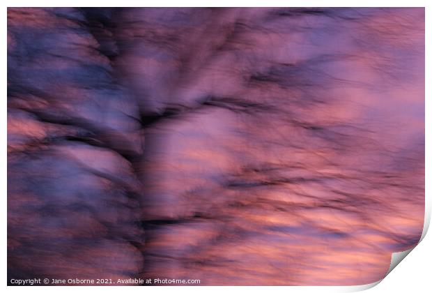 Abstract Sunset and Tree Print by Jane Osborne
