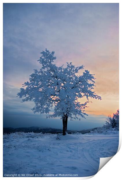 Tree covered in snow Print by Nic Croad