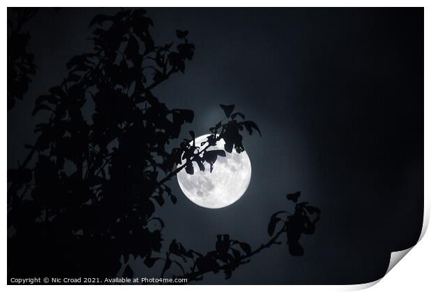 Full Moon through tree Print by Nic Croad