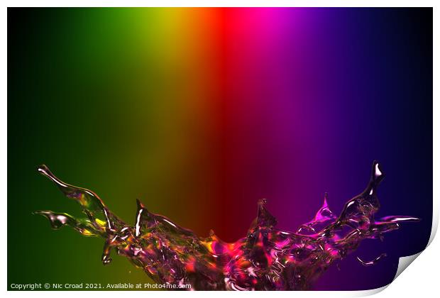 Splash of Colour Print by Nic Croad