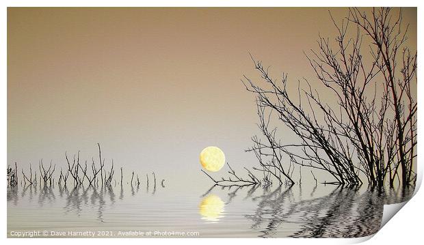 A Moon on the Water Print by Dave Harnetty