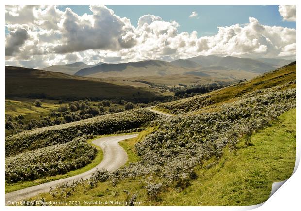 Winding Road-Glen Roy,Highlands of Scotland Print by Dave Harnetty