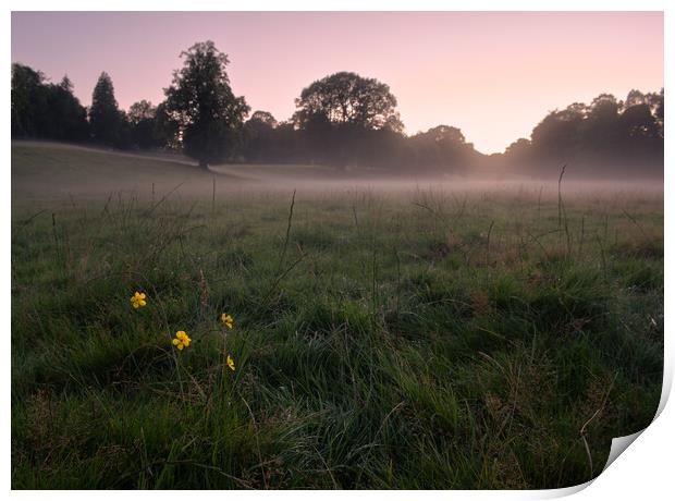 A misty field Dumfries  Print by christian maltby