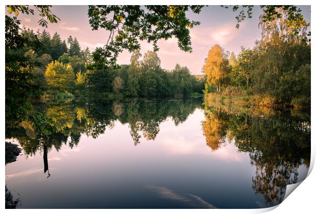 Plant tree Print by christian maltby