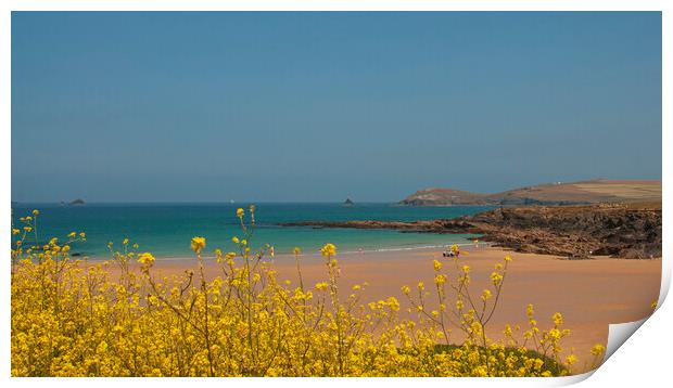 Treyarnon view, Cornwall  Print by Frank Farrell