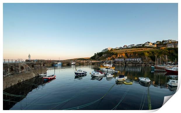 Mevagissey outer harbour, Cornwall  Print by Frank Farrell