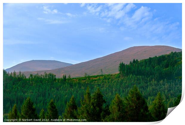 Enthralling Peaks: Tollymore Forest Vista Print by Norbert David