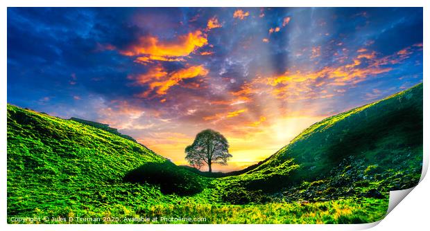 Sycamore Gap at Sunset Print by Jules D Truman