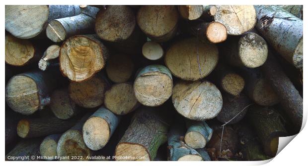 Wooden logs Print by Michael bryant Tiptopimage