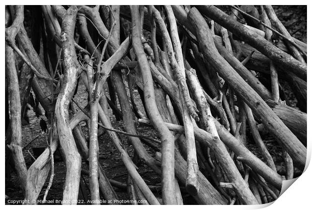 Stacked branches  Print by Michael bryant Tiptopimage
