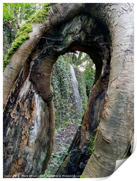Hollow Tree Waterfall Abstract Print by Mark Ritson