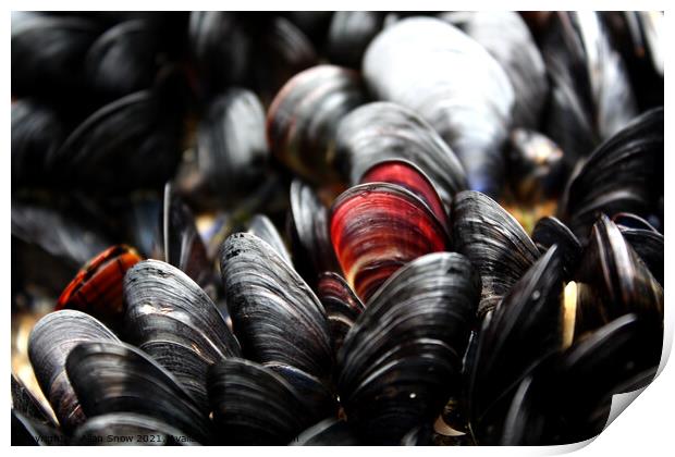 Red and Black Mussels Print by Allan Snow
