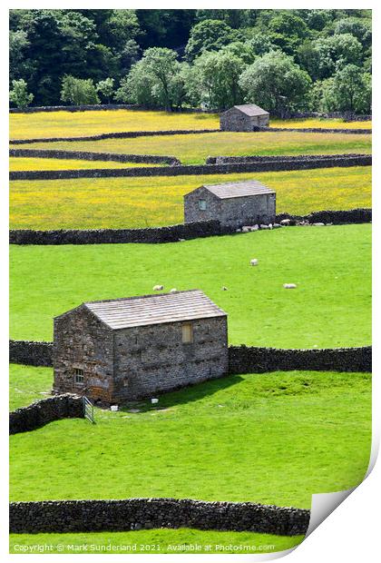 Field Barns at Gunnerside in Summer Print by Mark Sunderland