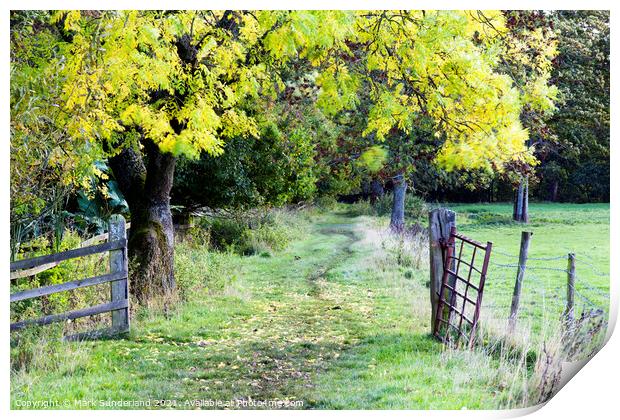Nidderdale Way near Wath in Autumn Print by Mark Sunderland