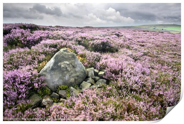 Stone and Heather Blowing in the Wind near Pateley Bridge Print by Mark Sunderland