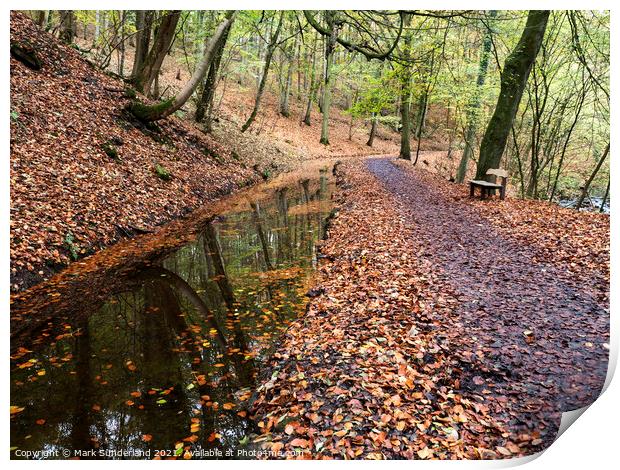 Skipton Woods in Autumn Print by Mark Sunderland
