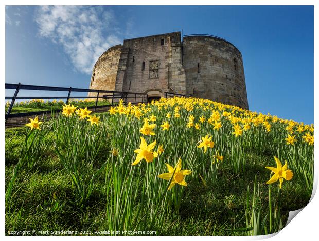 Cliffords Tower in Spring Print by Mark Sunderland