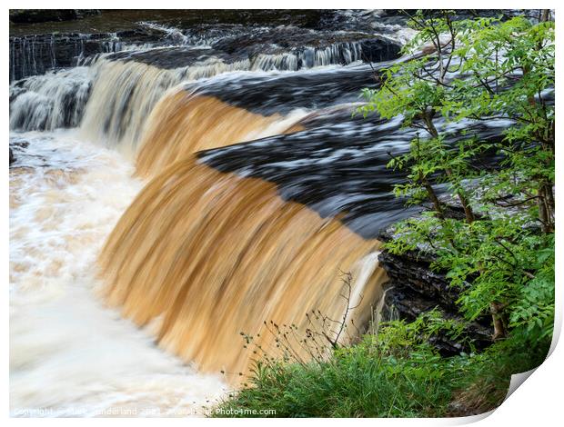 Peaty Water in Lower Aysgarth Falls Print by Mark Sunderland