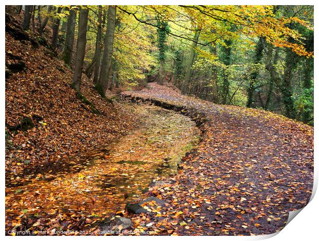Skipton Castle Woods in Autumn Print by Mark Sunderland