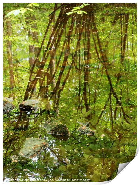 Abstract Reflections in Strid Wood Print by Mark Sunderland