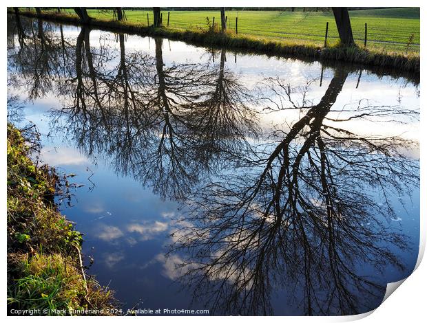 Winter Reflections in Ripon Canal Print by Mark Sunderland