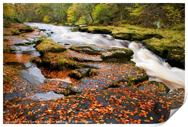 The Strid on the River Wharfe in Full Flow after Heavy Rain in Wharfedale Print by Mark Sunderland