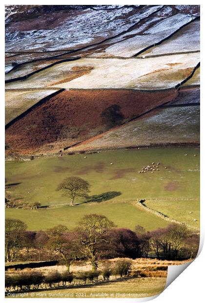 Winter Sunlight Plays on Fields in Farndale Print by Mark Sunderland