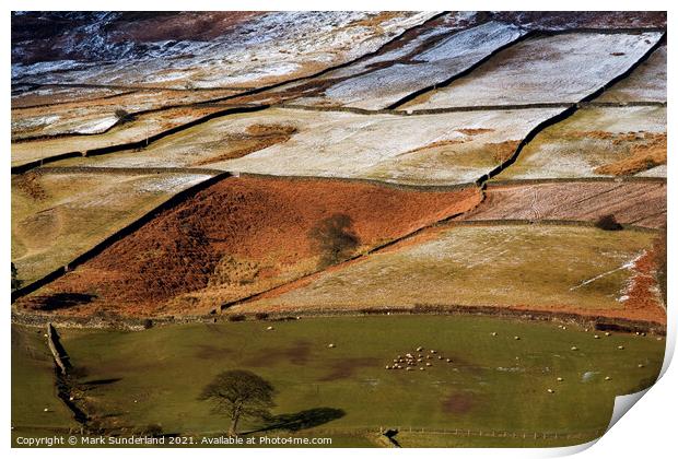 Winter Sunlight Plays on Fields in Farndale North York Moors Nat Print by Mark Sunderland