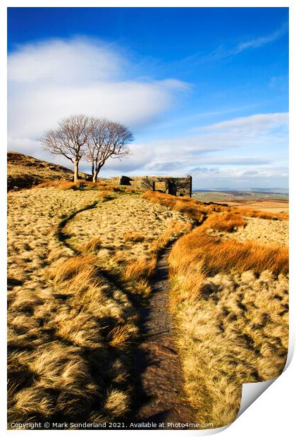 The Bronte Way at Top Withins Haworth Moor Print by Mark Sunderland