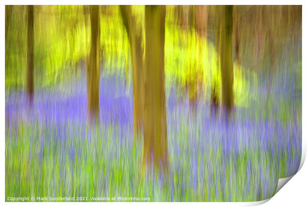 Bluebells and Spring Trees Middleton Woods Print by Mark Sunderland