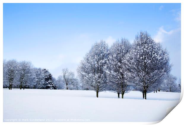 Winter Trees at Knaresborough Print by Mark Sunderland