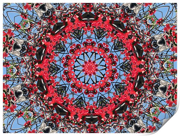 Kaleidoscope2 Print by Susmita Mishra