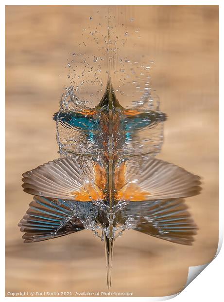 Diving Kingfisher Abstract Print by Paul Smith