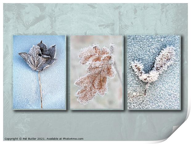 Frosty leaves Print by Pat Butler