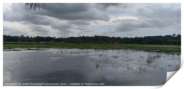 Rice field flooded with water under cloudy sky , a view from Ker Print by Anish Punchayil Sukumaran