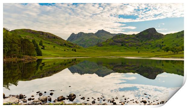 Summer morning at Blea tarn Print by Alan Dunnett