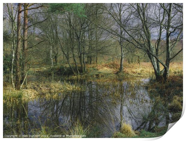 Winter Pond Print by Alan Dunnett