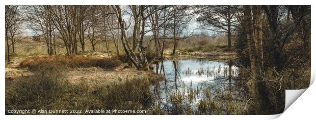 Winter Pond panoramic Print by Alan Dunnett